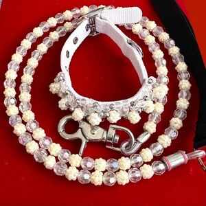 Elegant Beaded Small Dog Collar and Leash Set